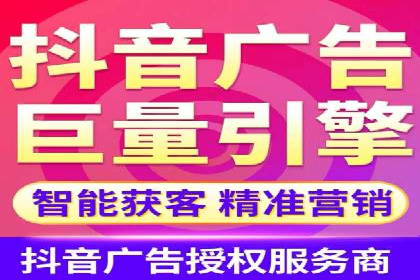 成功SEM服务案例分析报告