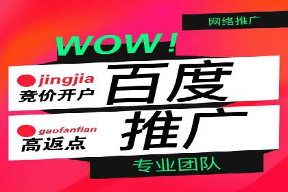 百度竞价赚钱技巧：案例分析